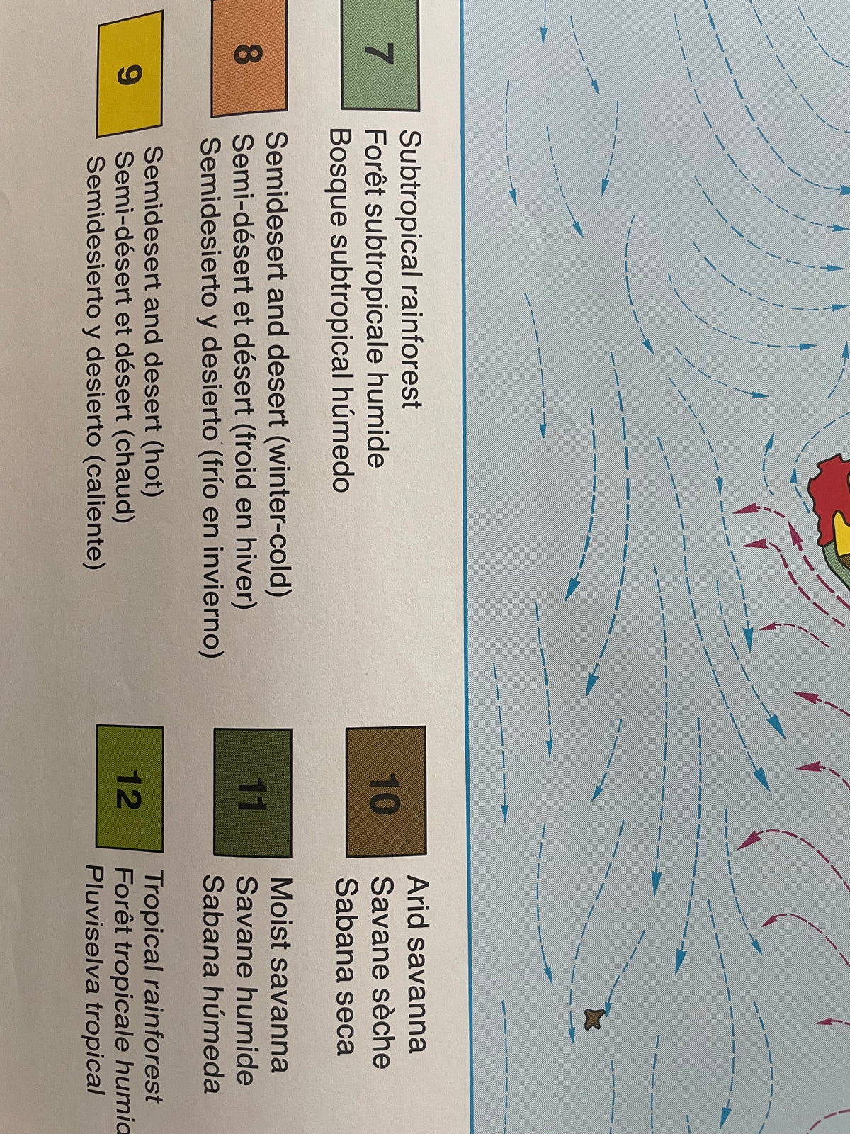 Lehrmitteltafel / Schulwandtafel Vegetationszonen
