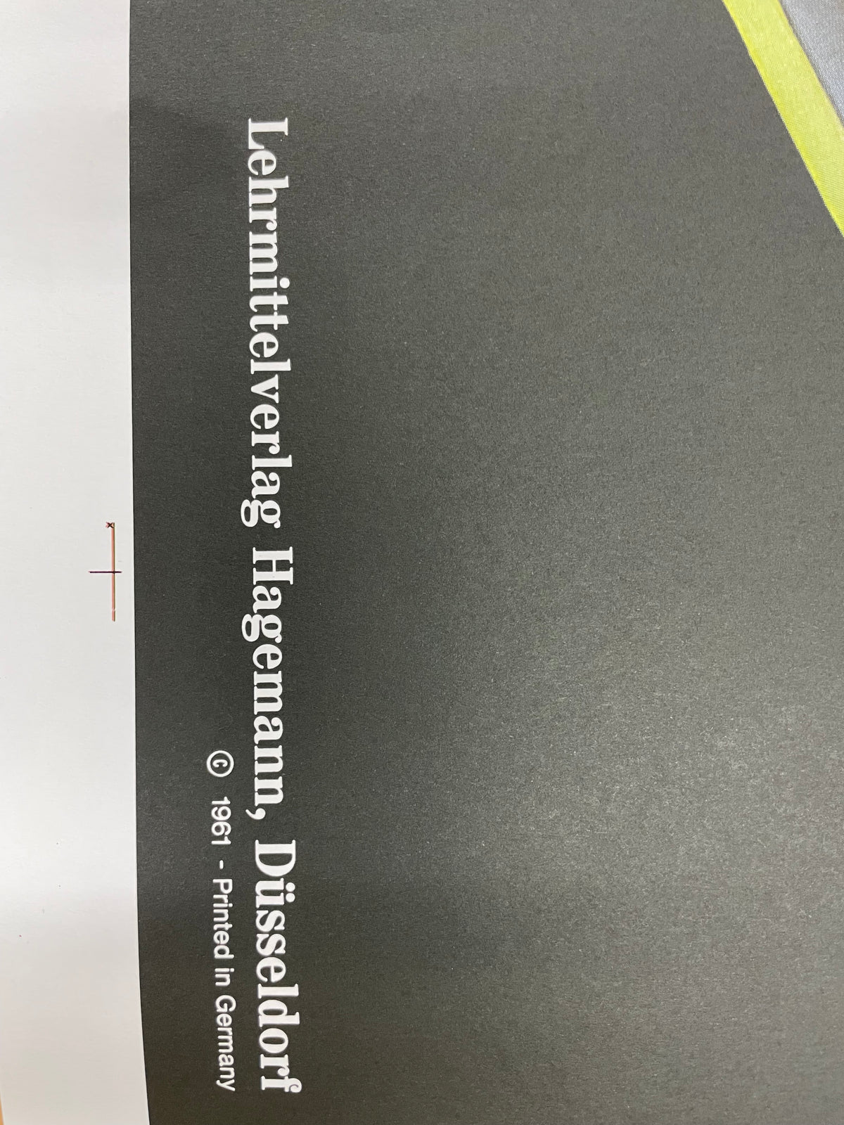 Lehrmitteltafel / Schulwandtafel Kleine Teichmuschel