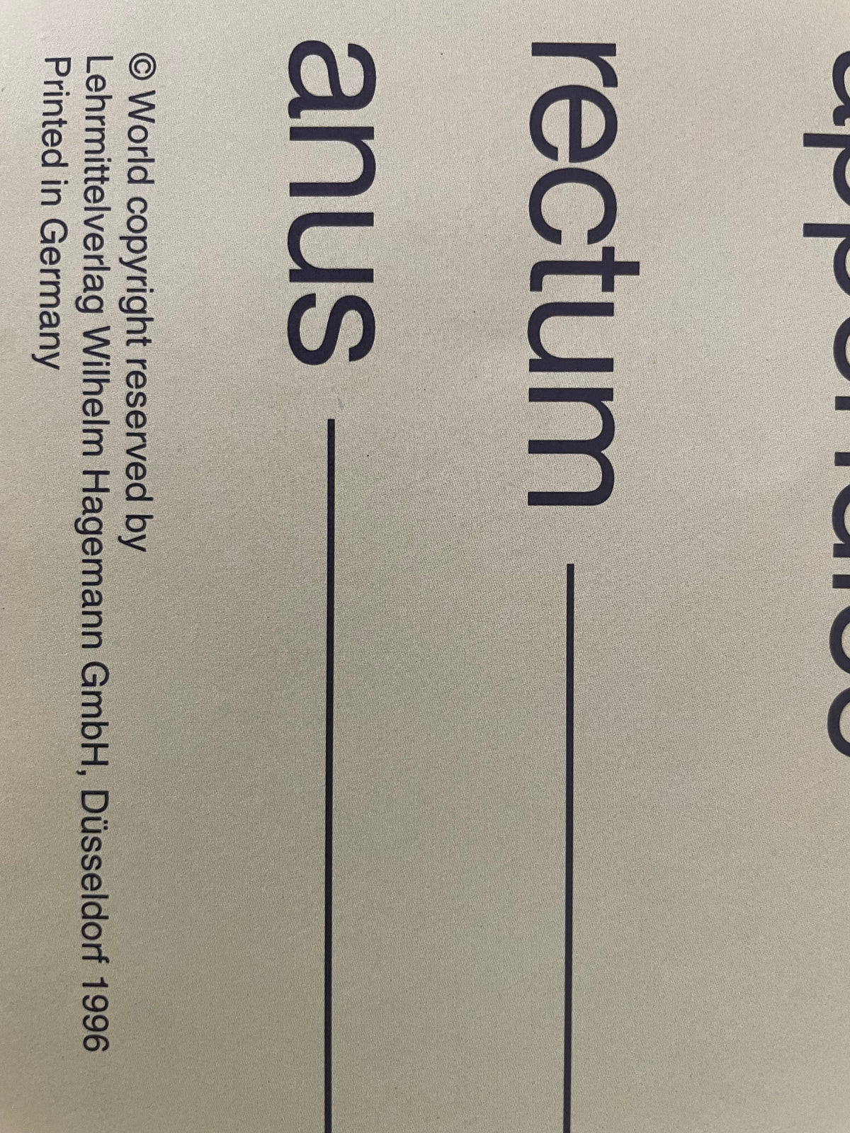 Lehrmitteltafel / Schulwandtafel Nahrungsmittel-Verdauung