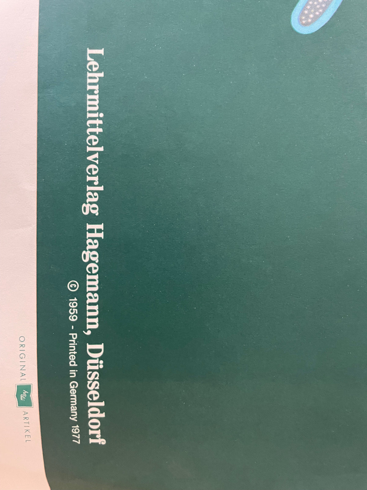 Lehrmitteltafel / Schulwandtafel Ohrenqualle