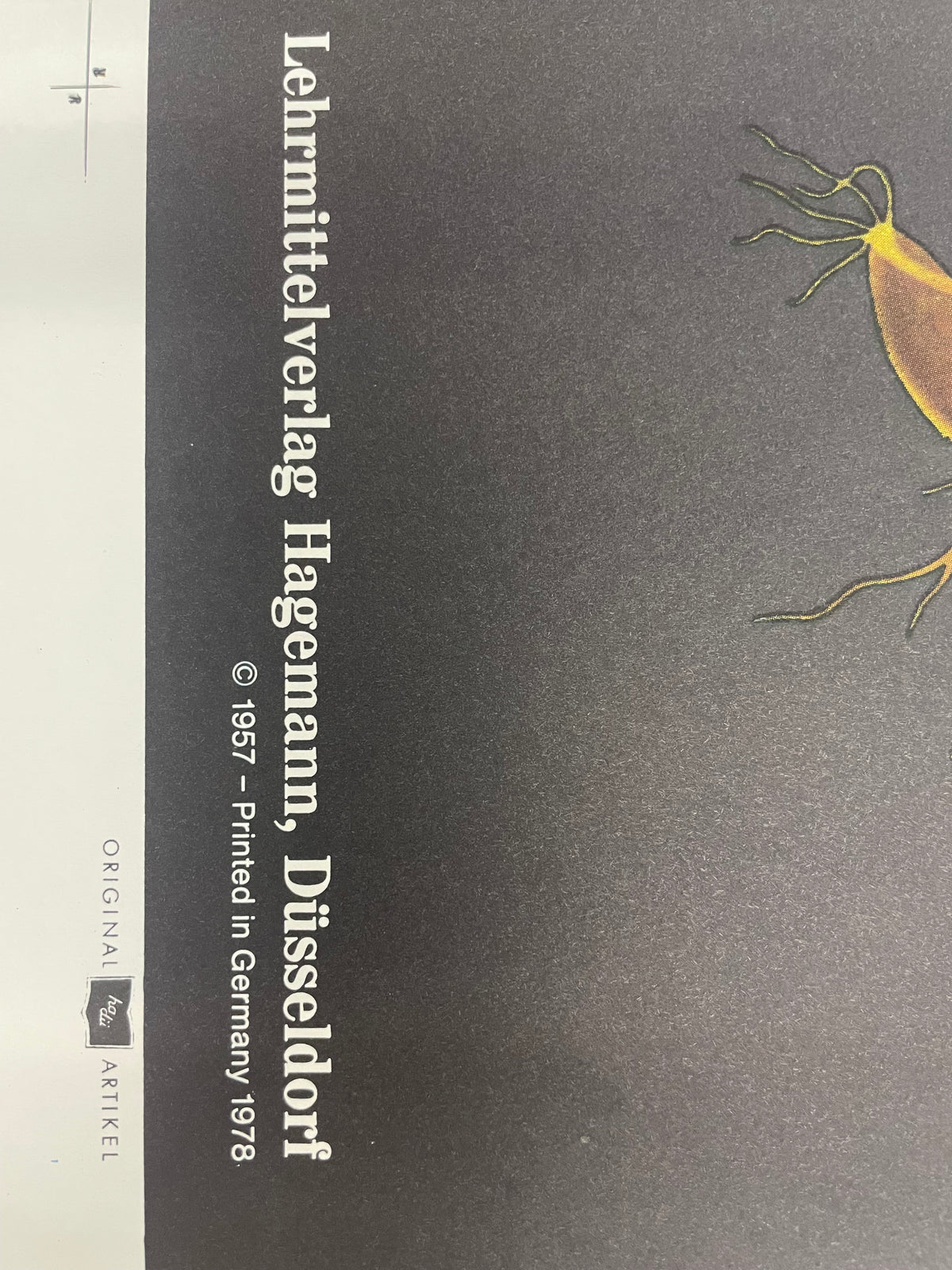Lehrmitteltafel / Schulwandtafel Roggen