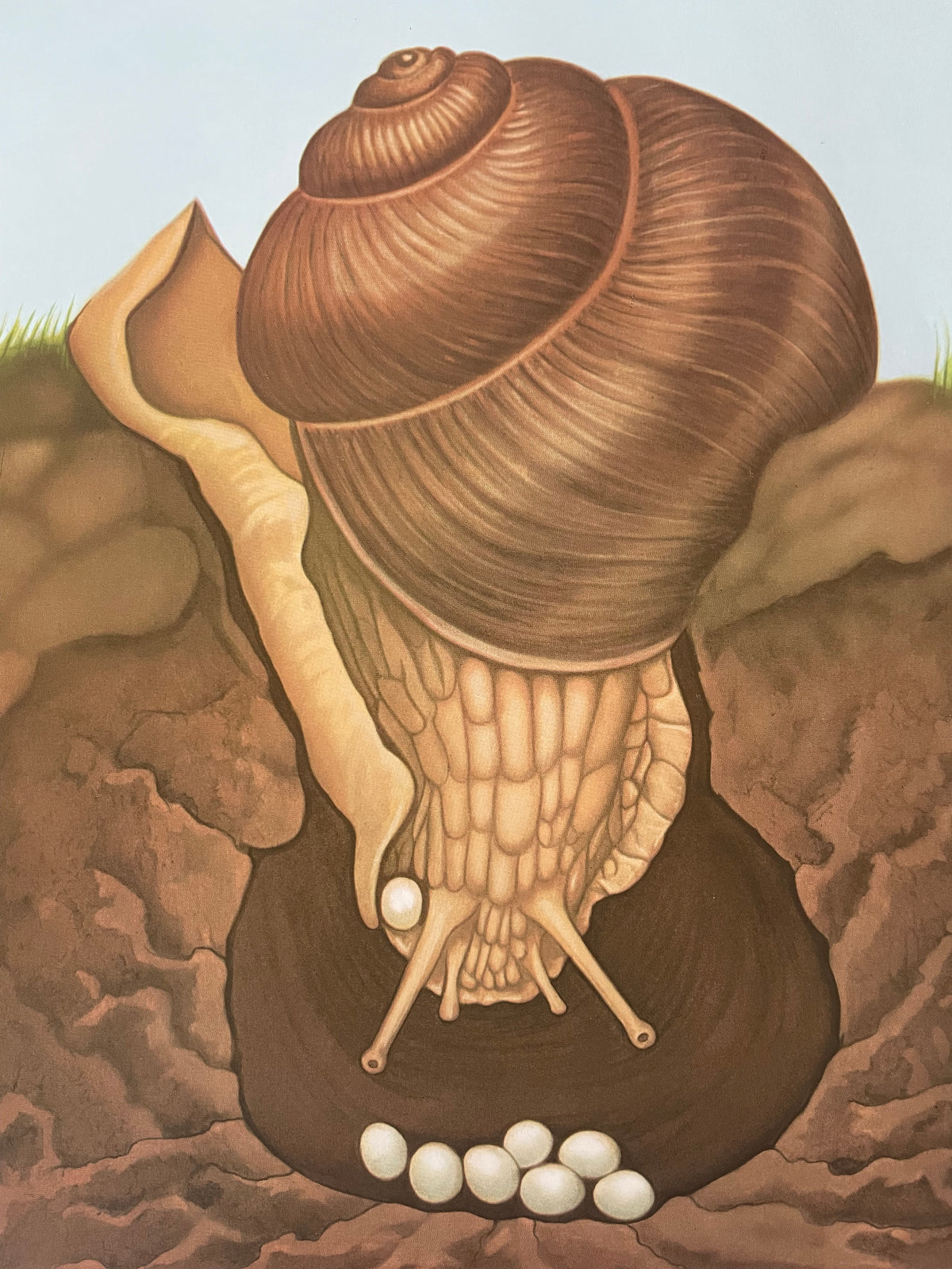 Lehrmitteltafel / Schulwandtafel Schnecke