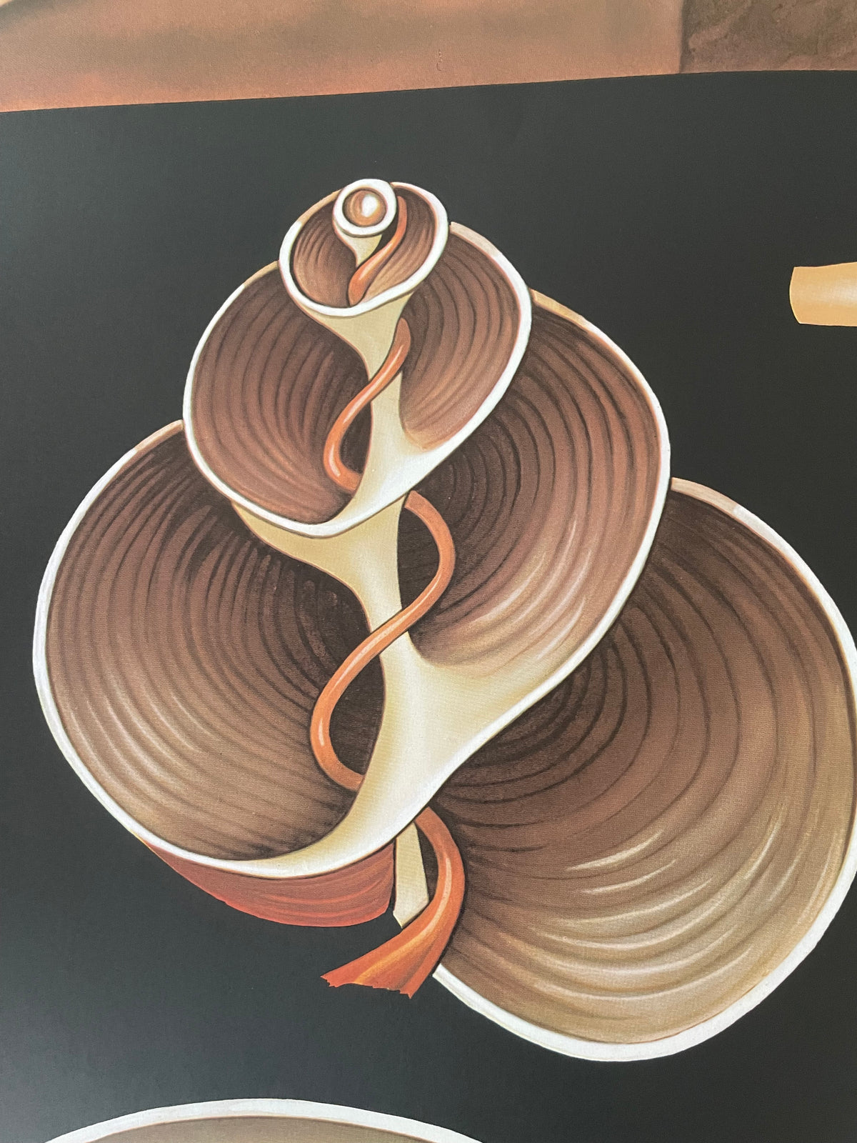 Lehrmitteltafel / Schulwandtafel Schnecke