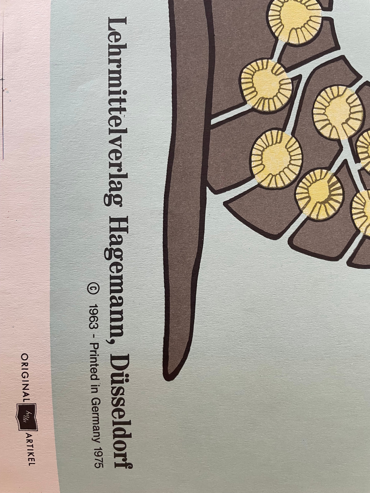 Lehrmitteltafel / Schulwandtafel Süßwasserschwamm