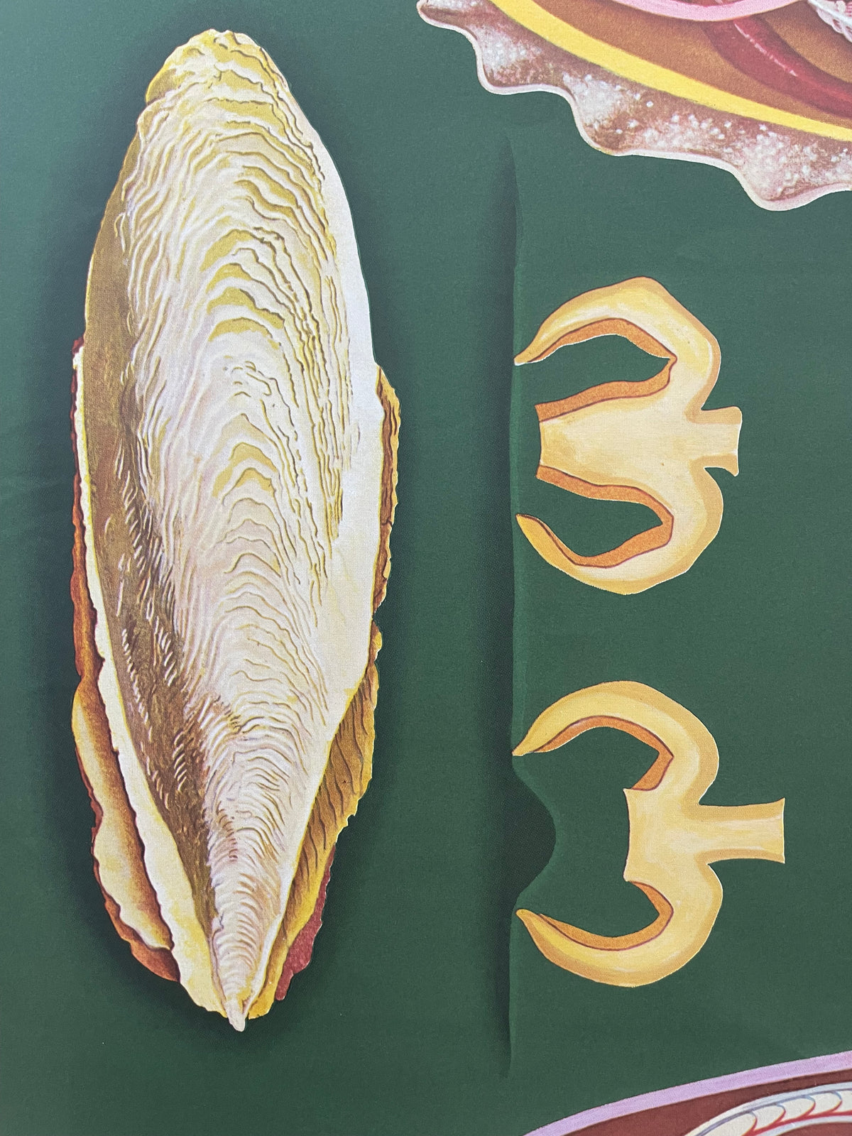 Lehrmitteltafel / Schulwandtafel Tintenfisch