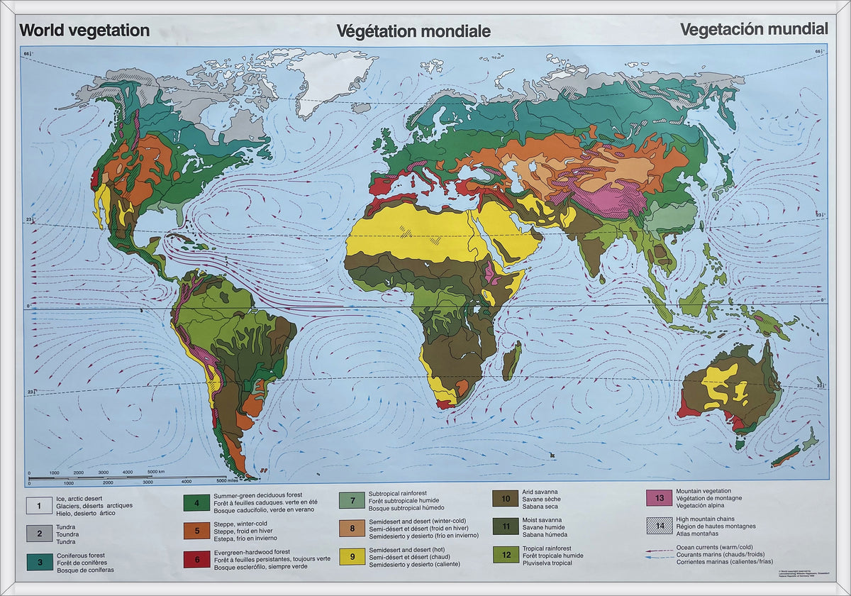 Lehrmitteltafel / Schulwandtafel Vegetationszonen