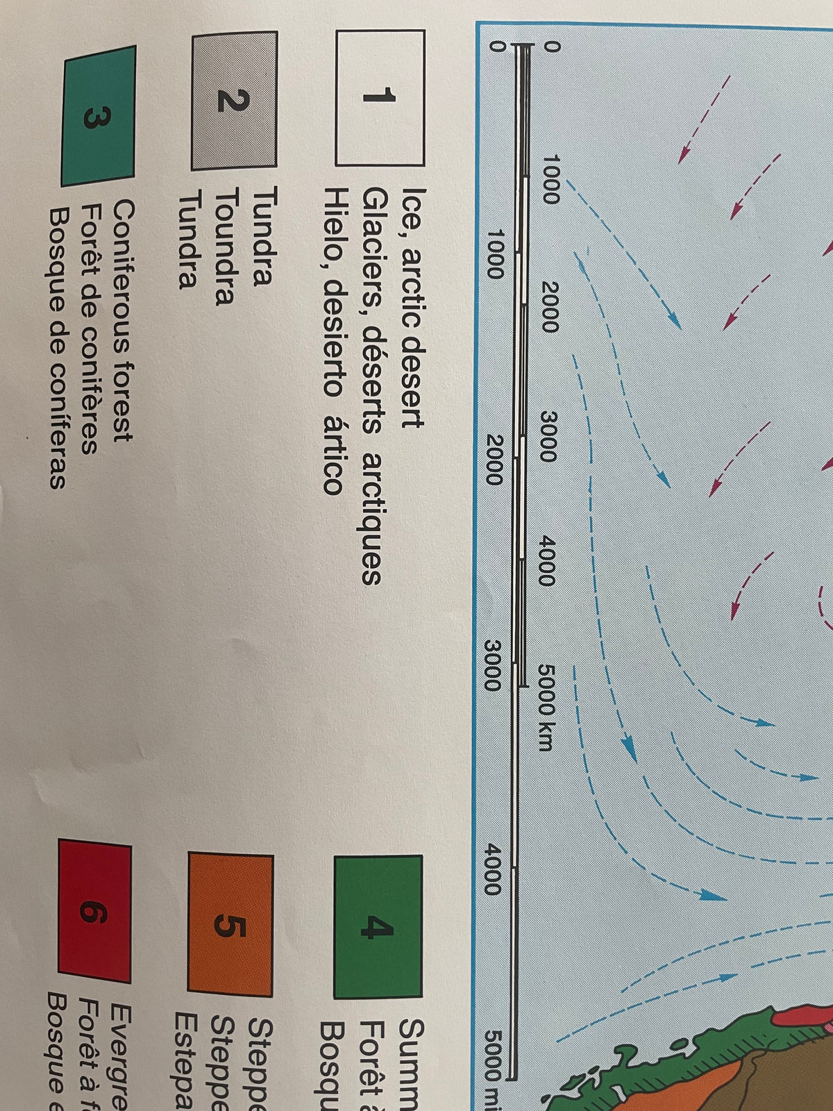 Lehrmitteltafel / Schulwandtafel Vegetationszonen