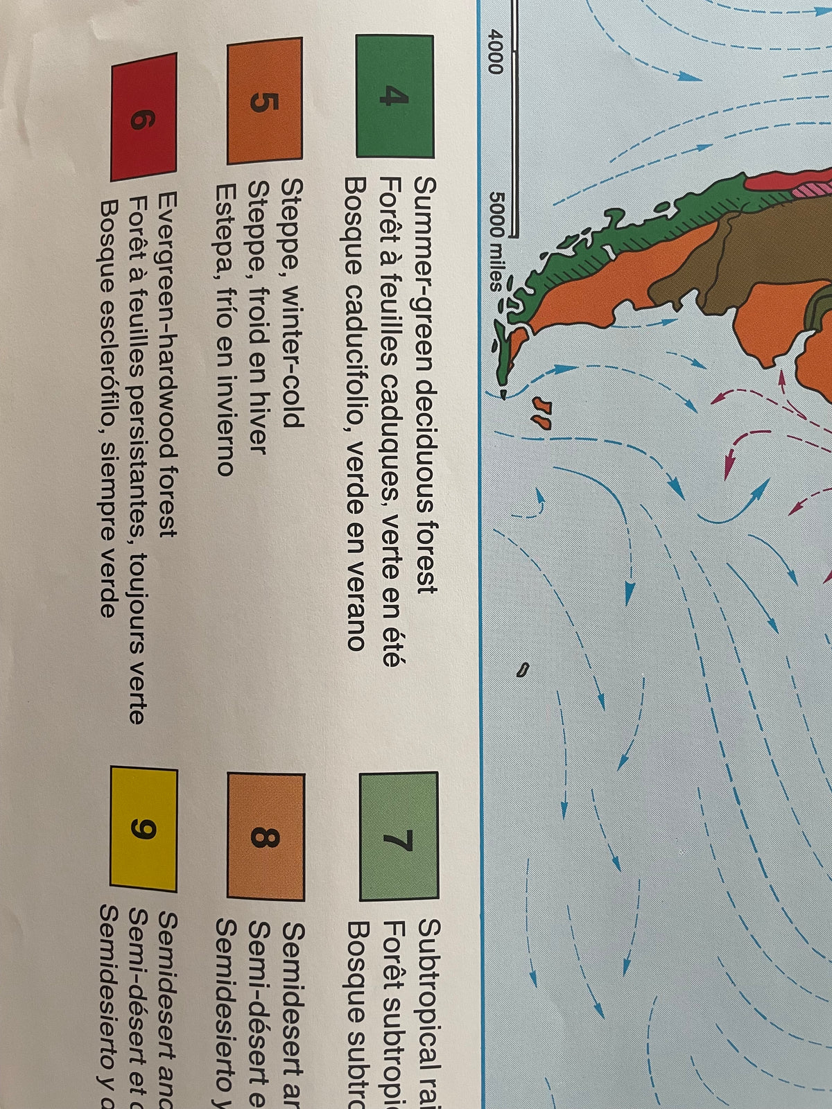 Lehrmitteltafel / Schulwandtafel Vegetationszonen