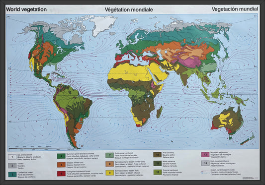 Lehrmitteltafel / Schulwandtafel Vegetationszonen